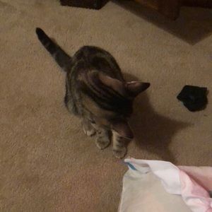 Meet your Posher, Kayla